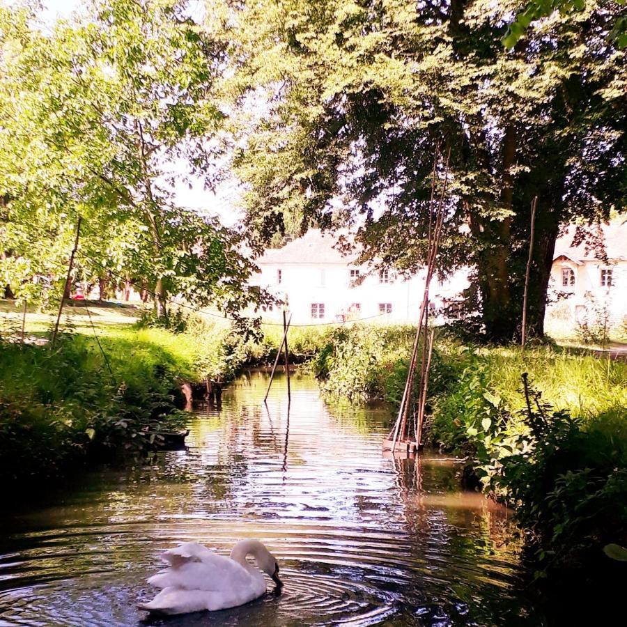 Domaine Du Plessis Bed & Breakfast Le Plessis-Luzarches Eksteriør bilde